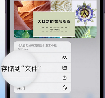 赛罕apple维修中心分享iPhone文件应用中存储和找到下载文件