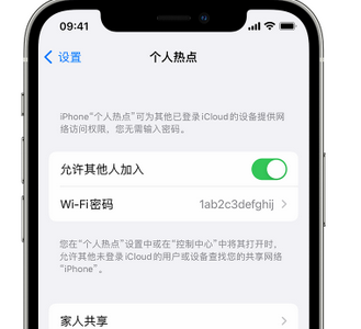 赛罕apple服务站点分享iPhone上个人热点丢失了怎么办 