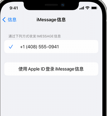 赛罕apple维修iPhone上无法正常发送iMessage信息