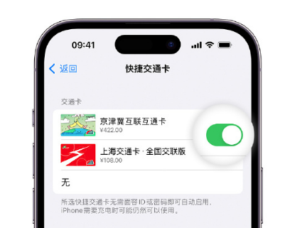 赛罕apple维修点分享iPhone上更换Apple Pay快捷交通卡手绘卡面 