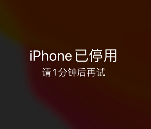 赛罕苹果手机维修分享:iPhone 显示“不可用”或“已停用”怎么办？还能保留数据吗？ 