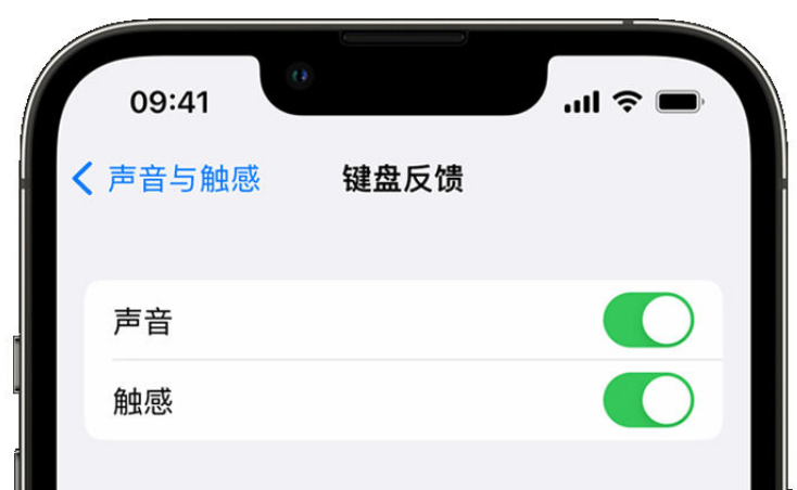 赛罕苹果手机维修分享iPhone 14触感键盘使用方法 