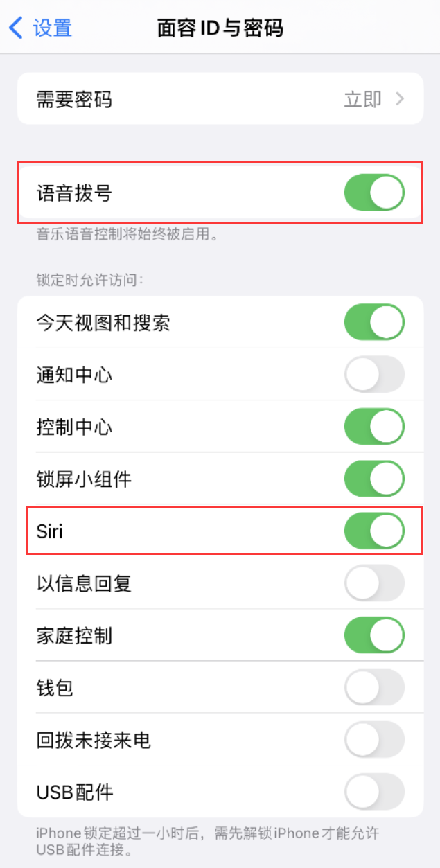 赛罕苹果维修网点分享不解锁 iPhone 的情况下通过 Siri 拨打电话的方法 