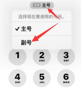 赛罕苹果14维修店分享iPhone 14 Pro Max使用副卡打电话的方法 