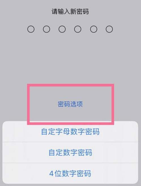 赛罕苹果14维修分享iPhone 14plus设置密码的方法 