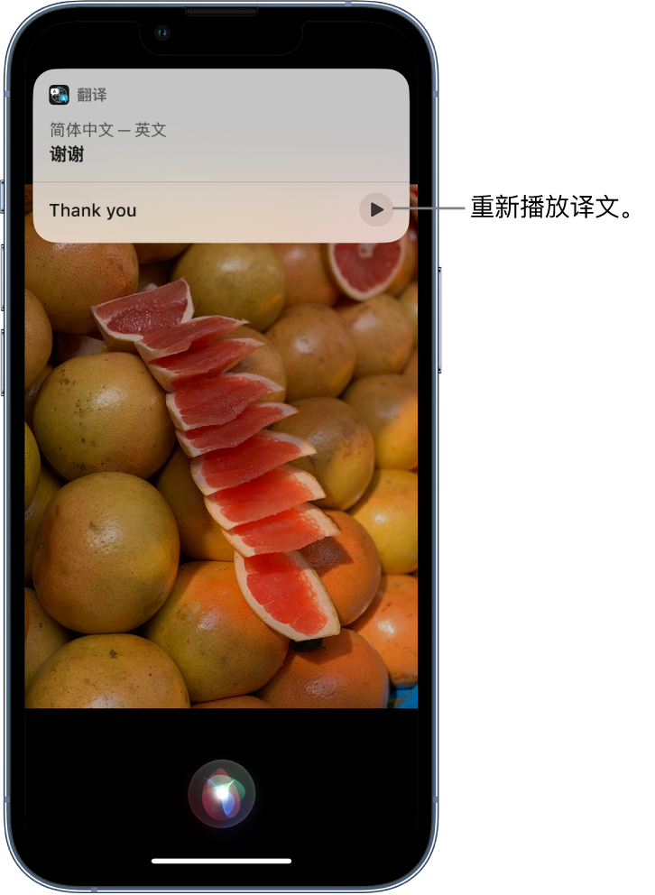 赛罕苹果14维修分享 iPhone 14 机型中使用 Siri：了解 Siri 能帮你做什么 