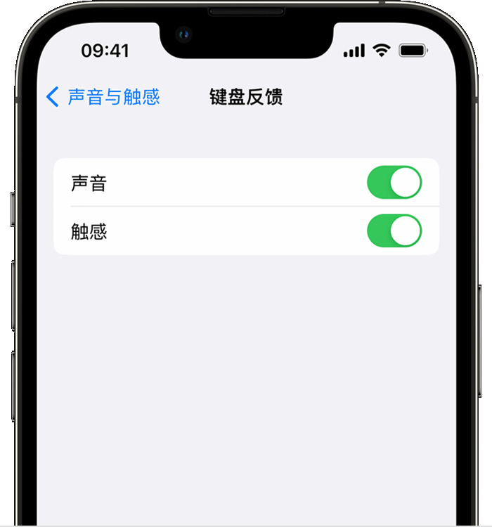 赛罕苹果14维修分享iPhone 14 系列机型如何开启键盘声音或触感反馈 