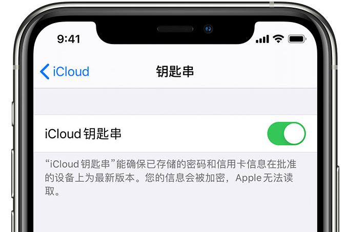 赛罕苹果手机维修分享在 iPhone 上开启 iCloud 钥匙串之后会储存哪些信息 