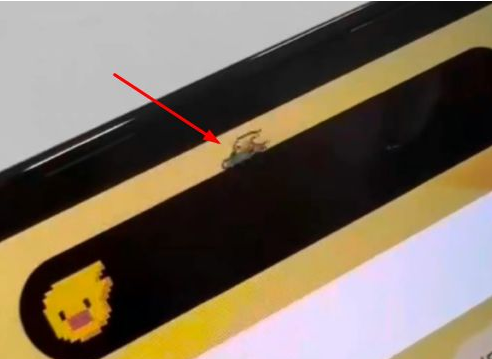 赛罕苹果14维修分享iPhone 14 Pro Max灵动岛怎么养宠物 
