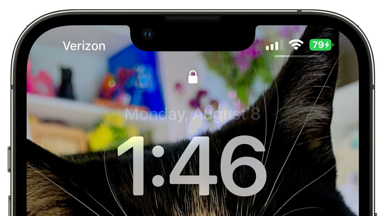 赛罕苹果手机维修分享iOS 16 beta 5 支持状态栏显示电池百分比，如何开启？支持哪些机型 