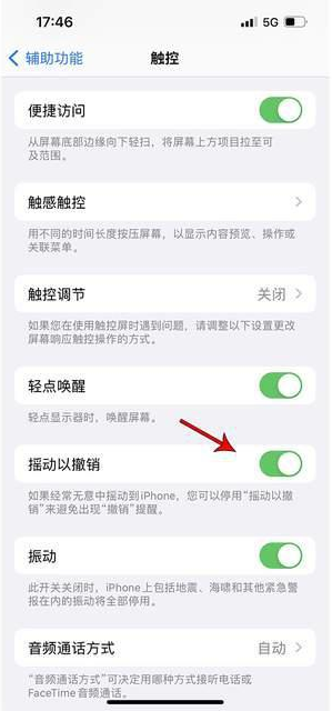 赛罕苹果手机维修分享iPhone手机如何设置摇一摇删除文字 